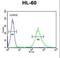 Endo-Beta-N-Acetylglucosaminidase antibody, LS-C167757, Lifespan Biosciences, Flow Cytometry image 