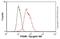 Discs Large MAGUK Scaffold Protein 4 antibody, ab2723, Abcam, Flow Cytometry image 