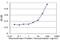 Heparin Binding Growth Factor antibody, H00003068-M09, Novus Biologicals, Enzyme Linked Immunosorbent Assay image 