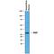 Sclerostin antibody, PA5-47134, Invitrogen Antibodies, Western Blot image 