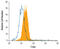 T-Box 21 antibody, MAB5385, R&D Systems, Flow Cytometry image 