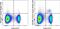 Hepatitis A Virus Cellular Receptor 2 antibody, 62-5871-82, Invitrogen Antibodies, Flow Cytometry image 