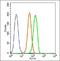 Nucleoporin 107 antibody, orb158041, Biorbyt, Flow Cytometry image 