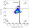 Leukocyte Immunoglobulin Like Receptor A4 antibody, GTX00534, GeneTex, Flow Cytometry image 