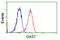 Growth Arrest Specific 7 antibody, GTX84466, GeneTex, Flow Cytometry image 