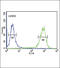 Melanocortin 3 Receptor antibody, 63-611, ProSci, Flow Cytometry image 