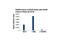 Bromodomain Containing 4 antibody, 13440P, Cell Signaling Technology, Chromatin Immunoprecipitation image 