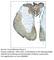 Protein Tyrosine Kinase 2 antibody, FAK1-101Y, FabGennix, Immunohistochemistry paraffin image 