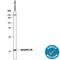 Cystatin E/M antibody, AF1286, R&D Systems, Western Blot image 