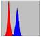 Protein Kinase N2 antibody, MA5-15887, Invitrogen Antibodies, Flow Cytometry image 