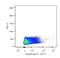 c-Kit antibody, NBP1-43358V, Novus Biologicals, Flow Cytometry image 