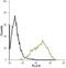 Prokineticin Receptor 1 antibody, PA5-77687, Invitrogen Antibodies, Flow Cytometry image 