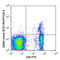 NRP antibody, 145207, BioLegend, Flow Cytometry image 