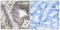 WW Domain Containing Oxidoreductase antibody, A01223Y33, Boster Biological Technology, Immunohistochemistry frozen image 