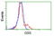 Glutathione Synthetase antibody, TA501935, Origene, Flow Cytometry image 