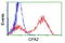 Carboxypeptidase A2 antibody, LS-C173899, Lifespan Biosciences, Flow Cytometry image 