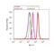 SMAD Family Member 7 antibody, 42-0400, Invitrogen Antibodies, Flow Cytometry image 