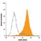 Immunoglobulin Superfamily Member 8 antibody, AF3117, R&D Systems, Flow Cytometry image 