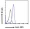 GPR antibody, 42-675, ProSci, Western Blot image 