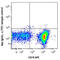 Lymphocyte antigen 6D antibody, 138605, BioLegend, Flow Cytometry image 