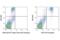 Colony Stimulating Factor 1 Receptor antibody, 65396S, Cell Signaling Technology, Flow Cytometry image 