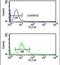 Cytochrome P450 Family 3 Subfamily A Member 43 antibody, PA5-26009, Invitrogen Antibodies, Flow Cytometry image 