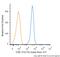CD5 Molecule antibody, NBP2-50174, Novus Biologicals, Flow Cytometry image 