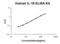 Interleukin 18 antibody, EK0864, Boster Biological Technology, Enzyme Linked Immunosorbent Assay image 