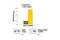 Signal Transducer And Activator Of Transcription 5A antibody, 7113S, Cell Signaling Technology, Enzyme Linked Immunosorbent Assay image 