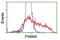 Proteasome 20S alpha 6 antibody, NBP2-03836, Novus Biologicals, Flow Cytometry image 