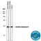 CAC antibody, AF2184, R&D Systems, Western Blot image 