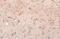 Nucleoporin 62 antibody, GTX636570, GeneTex, Immunohistochemistry paraffin image 