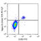 Sialic Acid Binding Ig Like Lectin 8 antibody, 347111, BioLegend, Flow Cytometry image 