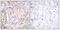B-Raf Proto-Oncogene, Serine/Threonine Kinase antibody, P30441, Boster Biological Technology, Immunohistochemistry frozen image 