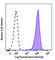 Antigen-presenting glycoprotein CD1d1 antibody, 371602, BioLegend, Western Blot image 