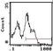 CD45RA antibody, MA5-17481, Invitrogen Antibodies, Flow Cytometry image 