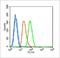 Nuclear Factor Kappa B Subunit 1 antibody, orb6517, Biorbyt, Flow Cytometry image 