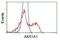 Alcohol dehydrogenase [NADP+] antibody, NBP2-02164, Novus Biologicals, Flow Cytometry image 