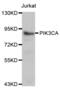 Phosphatidylinositol-4,5-Bisphosphate 3-Kinase Catalytic Subunit Alpha antibody, abx000650, Abbexa, Western Blot image 