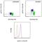 Signal Transducer And Activator Of Transcription 1 antibody, 12-9008-41, Invitrogen Antibodies, Flow Cytometry image 