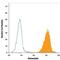 BGP antibody, IC1419A, R&D Systems, Flow Cytometry image 