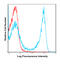 Lymphocyte antigen 6G antibody, 77-132, ProSci, Flow Cytometry image 