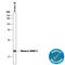 Melan-A antibody, AF8008, R&D Systems, Western Blot image 