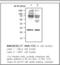 Peroxiredoxin 1 antibody, LS-C62245, Lifespan Biosciences, Western Blot image 