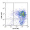 C-Type Lectin Domain Containing 10A antibody, 145704, BioLegend, Flow Cytometry image 