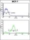 Caspase 6 antibody, orb304708, Biorbyt, Flow Cytometry image 