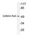 Gamma-Aminobutyric Acid Type A Receptor Alpha6 Subunit antibody, AP21175PU-N, Origene, Western Blot image 