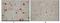 KSHV ORF62 antibody, NBP2-37684, Novus Biologicals, Immunohistochemistry frozen image 
