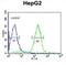 Orosomucoid 1 antibody, abx032859, Abbexa, Flow Cytometry image 