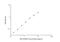 Caspase 8 antibody, NBP2-75041, Novus Biologicals, Enzyme Linked Immunosorbent Assay image 